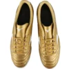 Folgado Pro Kl AS « Gold »
