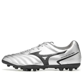 Monarcida Neo II Select AG « Silver Grey »