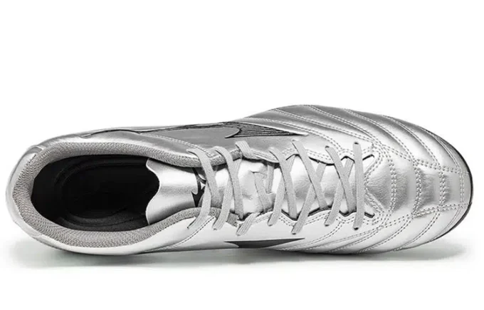 Monarcida Neo II Select AG « Silver Grey »