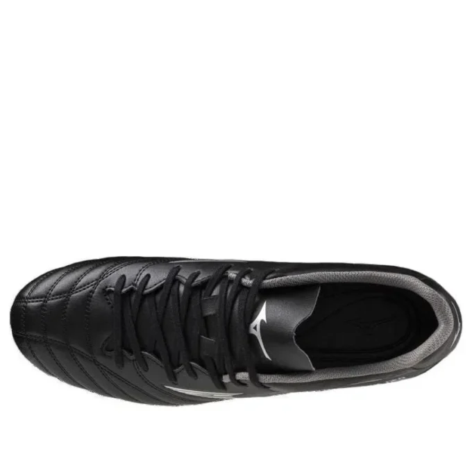 MONARCIDA NEO III « Black Silver »