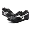 MORELIA 2 CLUB AS « Black Silver »