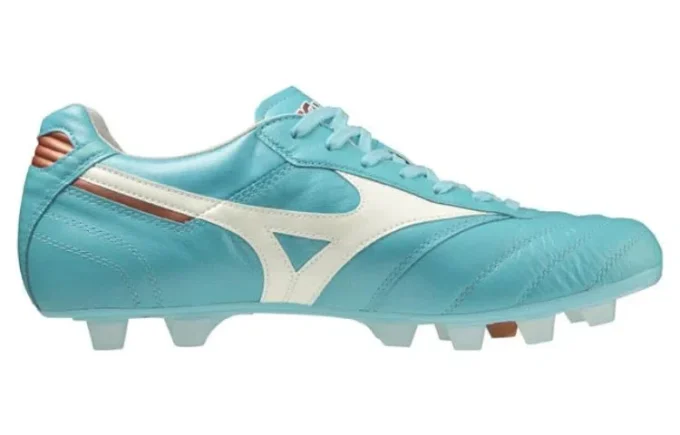 Morelia 2 Japan « Blue Curacao »