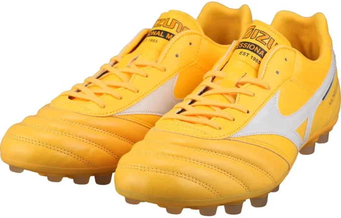 Morelia 2 Pro AG