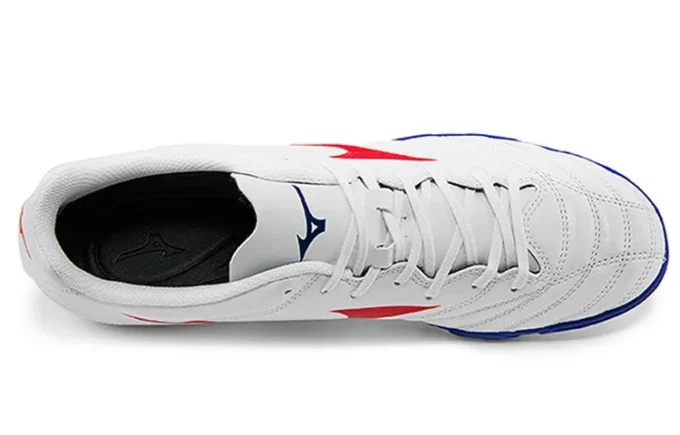 Morelia Neo II AS « White Blue »