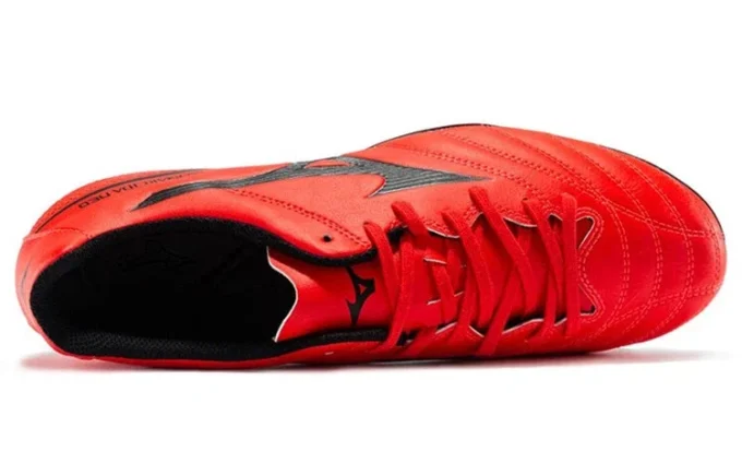 Morelia Neo II « Red Black »