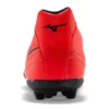 Morelia Neo II « Red Black »