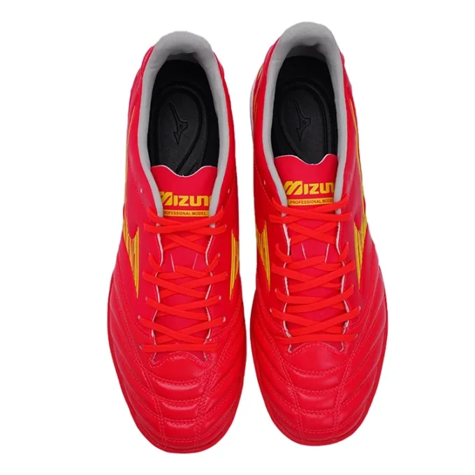 Morelia Neo4 IV Pro AS « Red »