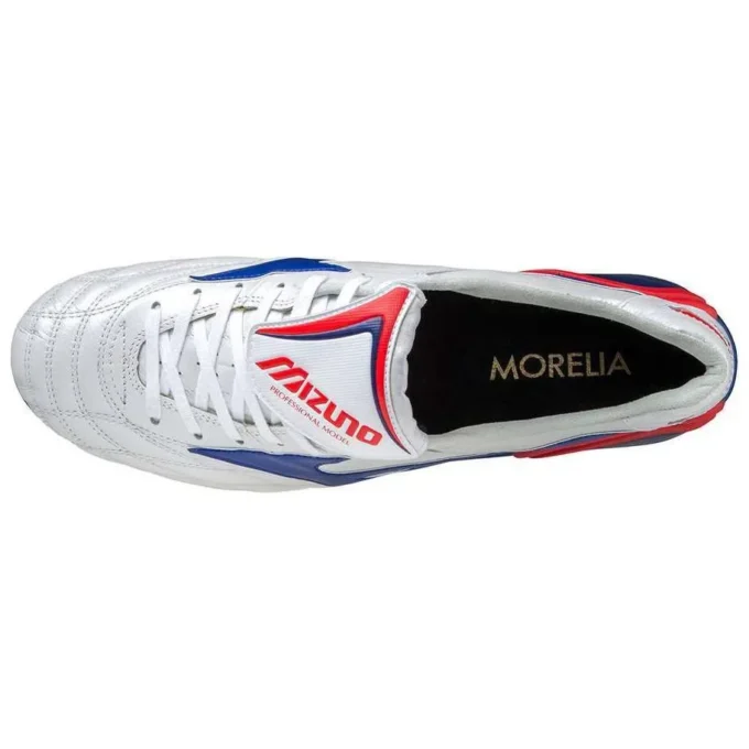 Morelia Wave Japan « Silver Blue »