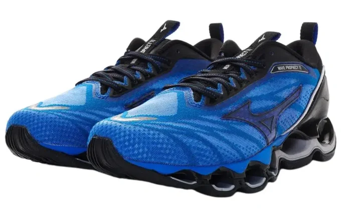 Wave Prophecy 11 « Blue Black »