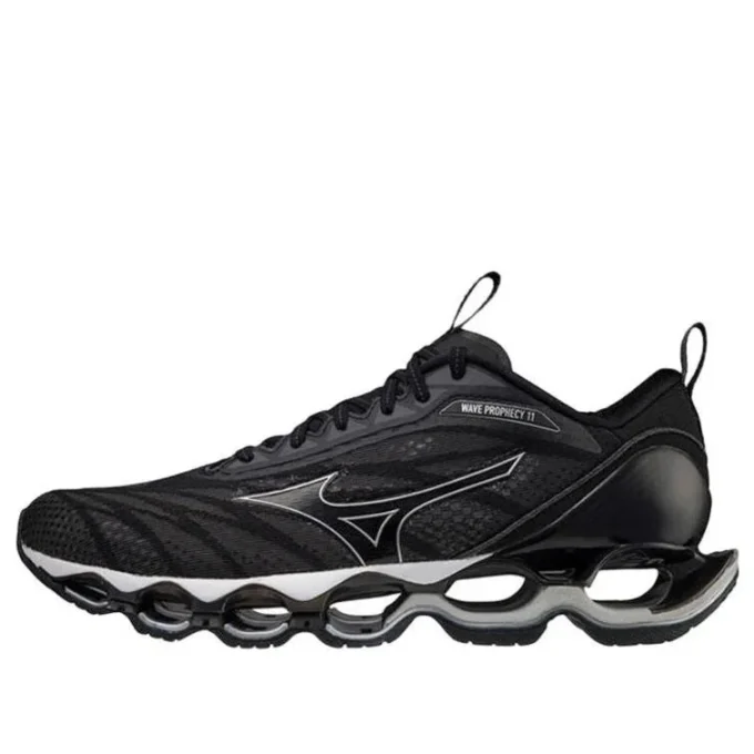 Wave Prophecy 11 « Silver Black »