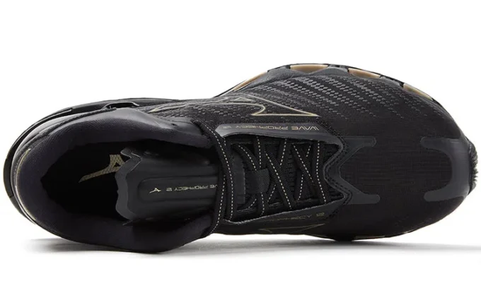 Wave Prophecy 12 « Black Gold »
