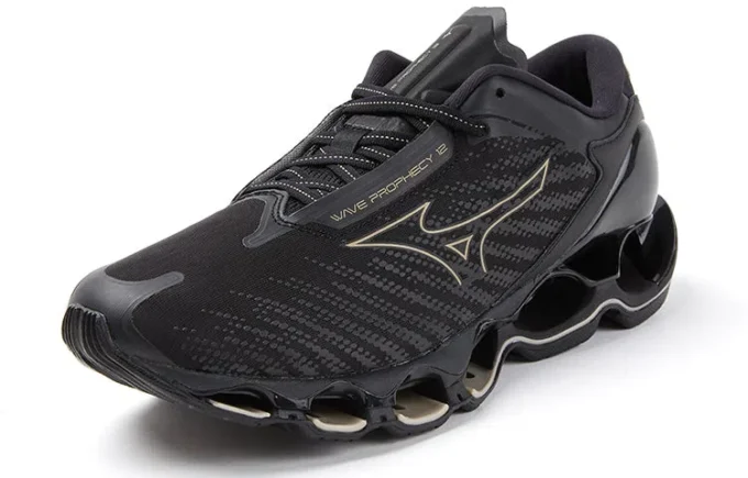 Wave Prophecy 12 « Black Gold »