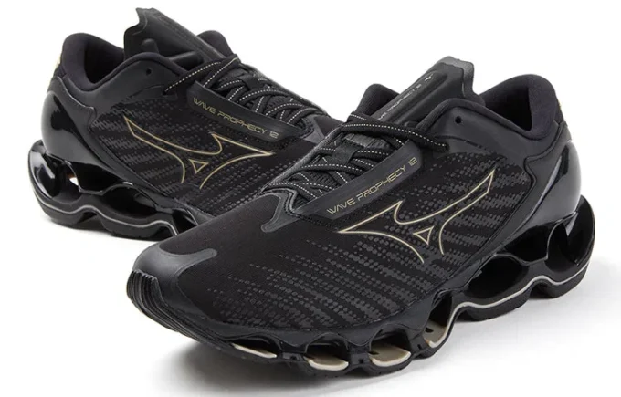 Wave Prophecy 12 « Black Gold »