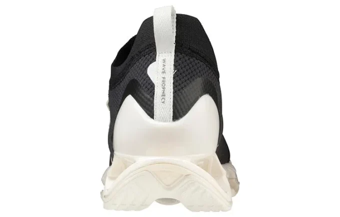 Wave Prophecy B « Black White »